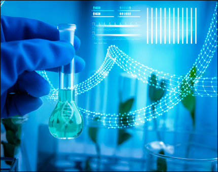 Sandish Additives Pvt. Ltd.